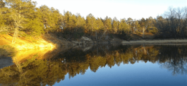 Bend in the Crow Wing River
